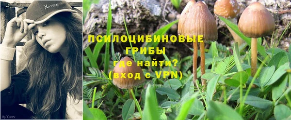 СК Аркадак