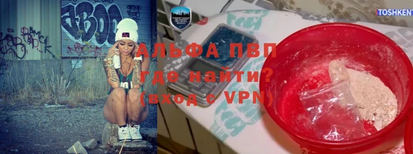 СК Аркадак