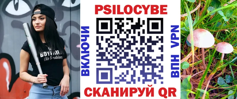 Галлюциногенные грибы GOLDEN TEACHER  Северобайкальск 